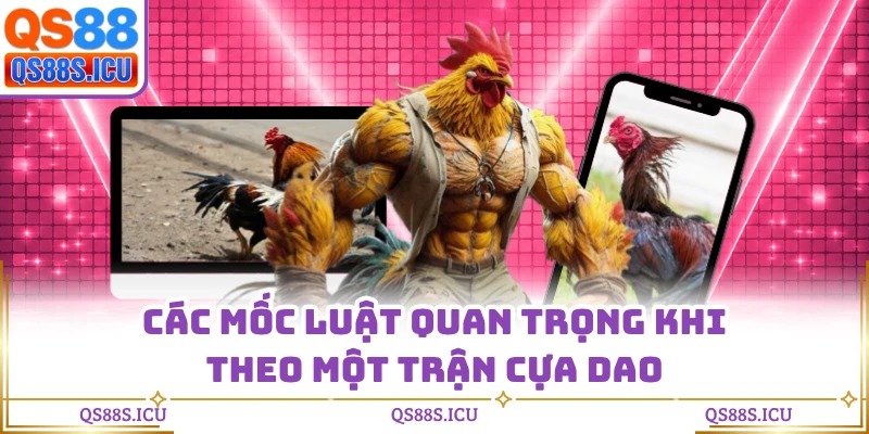Các mốc luật quan trọng khi theo một trận cựa dao
