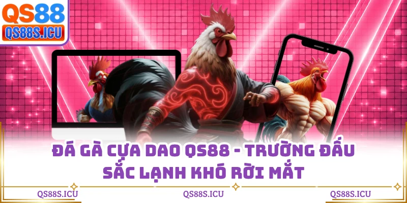 Đá Gà Cựa Dao QS88 - Trường Đấu Sắc Lạnh Khó Rời Mắt
