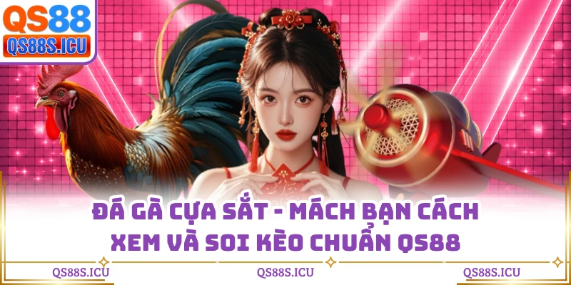 Đá Gà Cựa Sắt - Mách Bạn Cách Xem Và Soi Kèo Chuẩn QS88