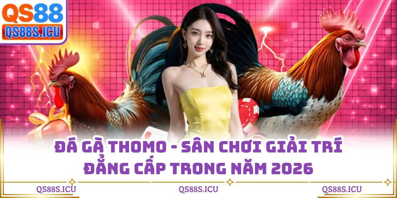 Đá Gà Thomo - Sân Chơi Giải Trí Đẳng Cấp Trong Năm 2026