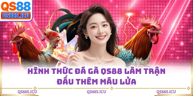 Hình thức đá gà QS88 làm trận đấu thêm máu lửa