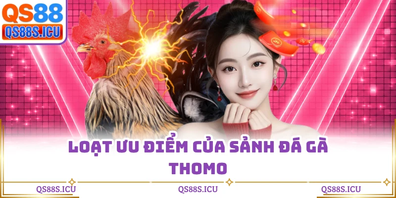 Loạt ưu điểm của sảnh đá gà Thomo