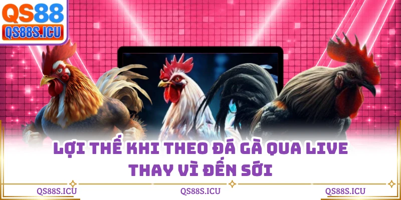 Lợi thế khi theo đá gà qua live thay vì đến sới