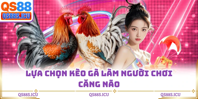 Lựa chọn kèo gà làm người chơi căng não