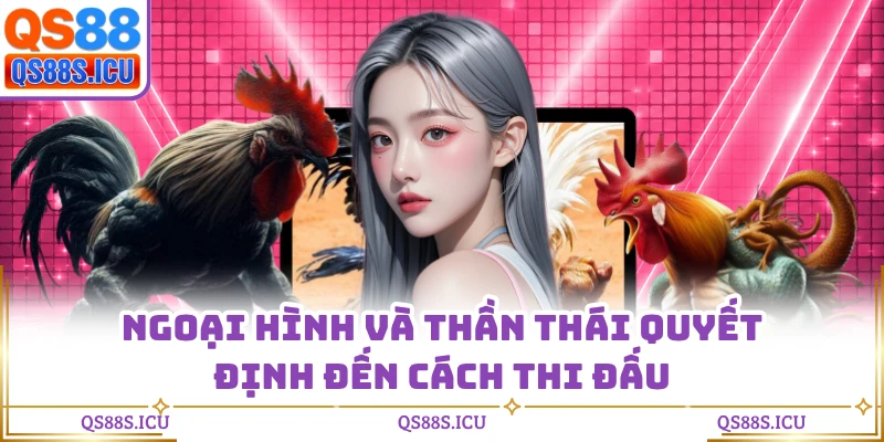 Ngoại hình và thần thái quyết định đến cách thi đấu