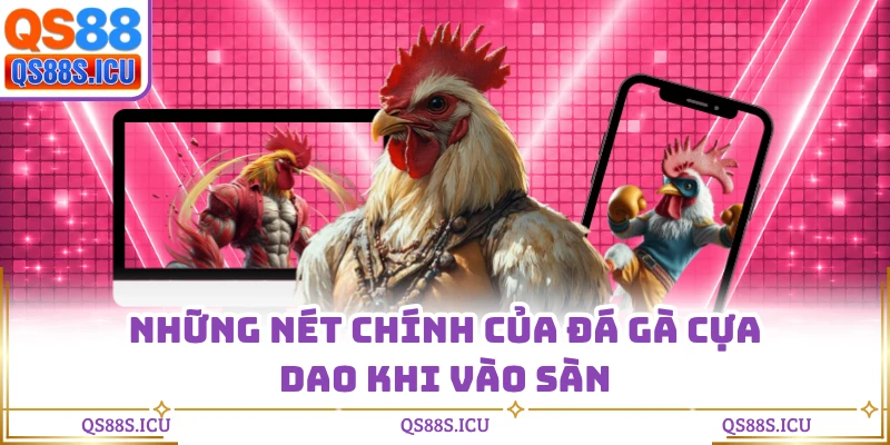 Những nét chính của đá gà cựa dao khi vào sàn