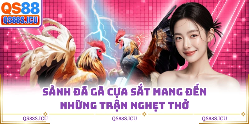 Sảnh đá gà cựa sắt mang đến những trận nghẹt thở